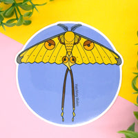 Comet Moth Vinyl Sticker