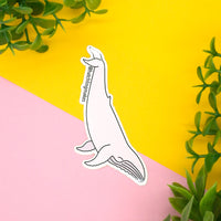 Migaloo - white humpback whale vinyl sticker