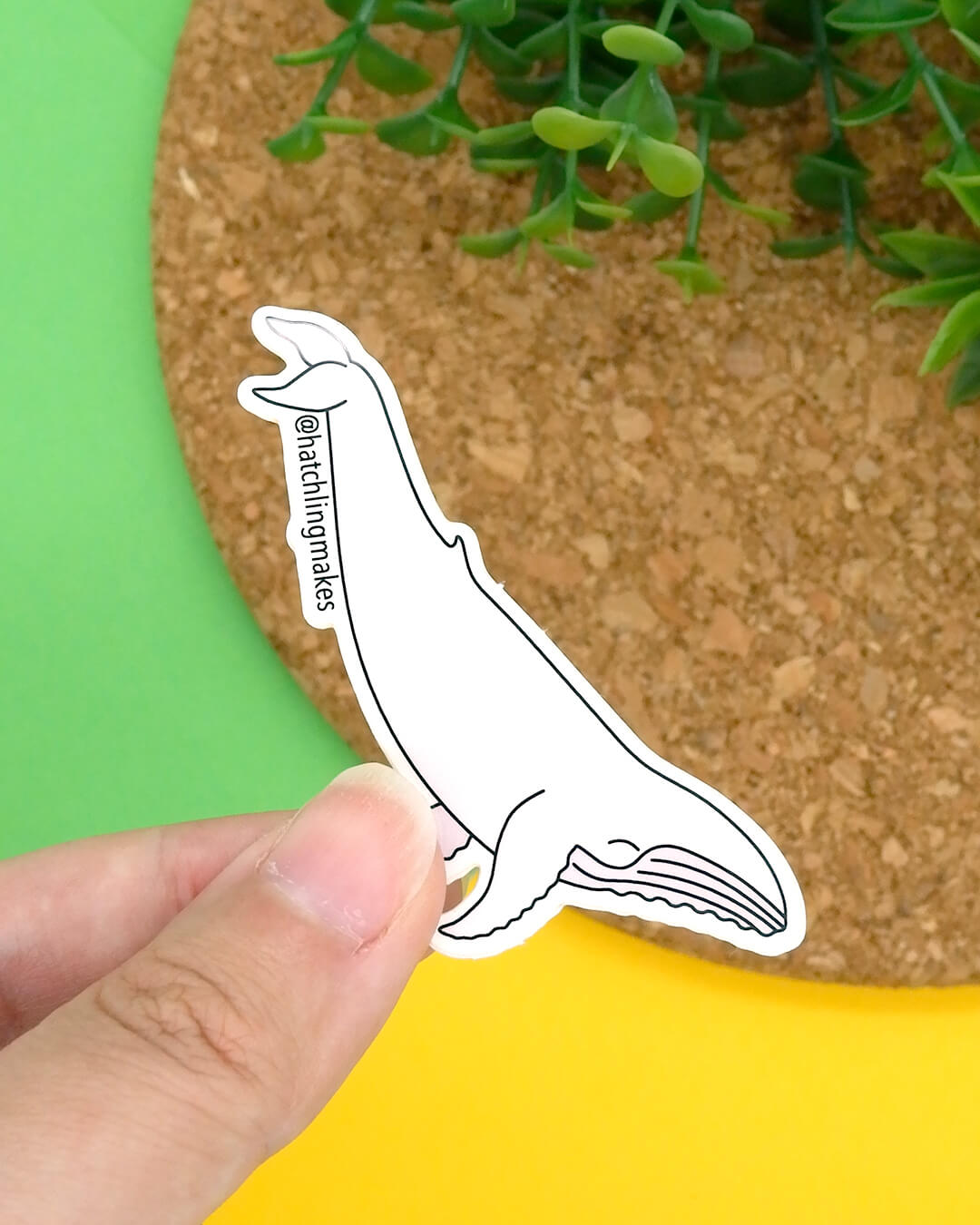 Migaloo - white humpback whale vinyl sticker