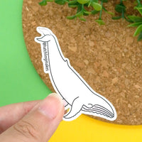 Migaloo - white humpback whale vinyl sticker
