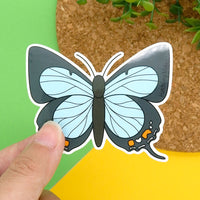 Pale Imperial Hairstreak Butterfly Vinyl Sticker