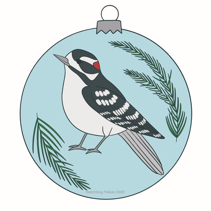 Birds In December Day 2: Downy Woodpecker