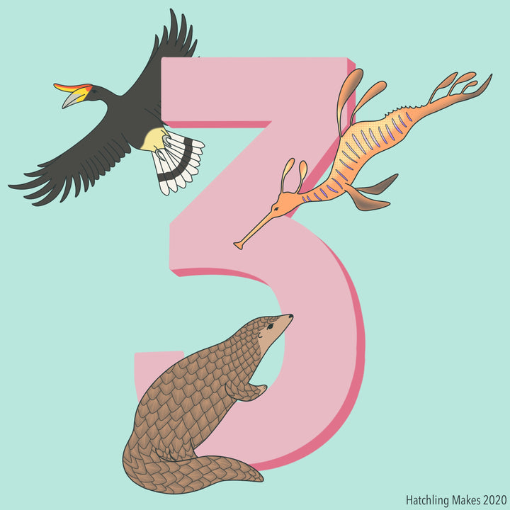 Hatchling Makes turns 3!