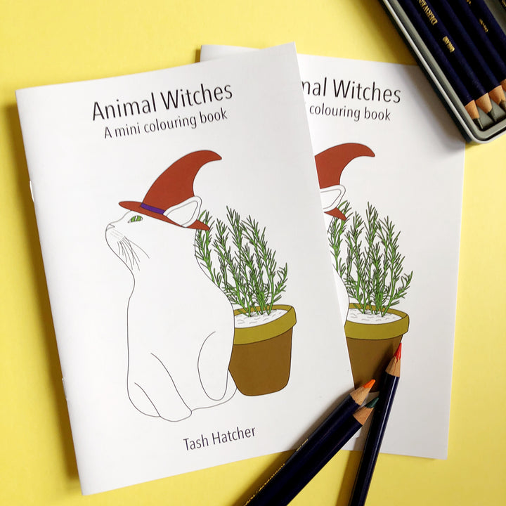 Animal Witches Colouring Book Flipthrough