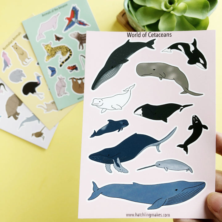 New Product : Cetacean Sticker Sheet