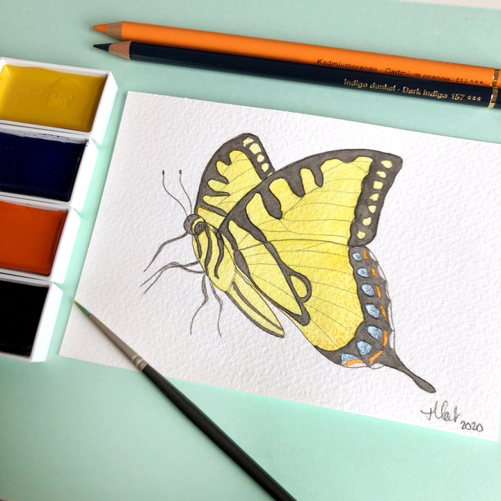 Love Butterfly Challenge : Eastern Tiger Swallowtail