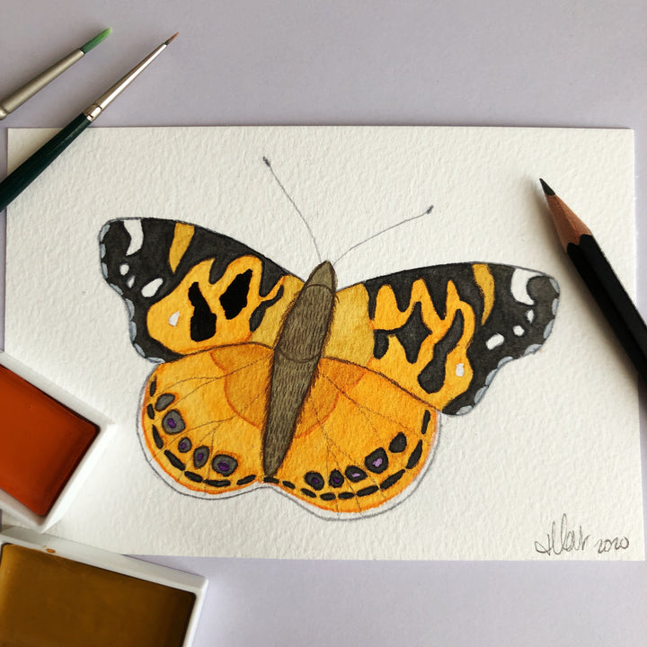 Love Butterfly Challenge: American Painted Lady