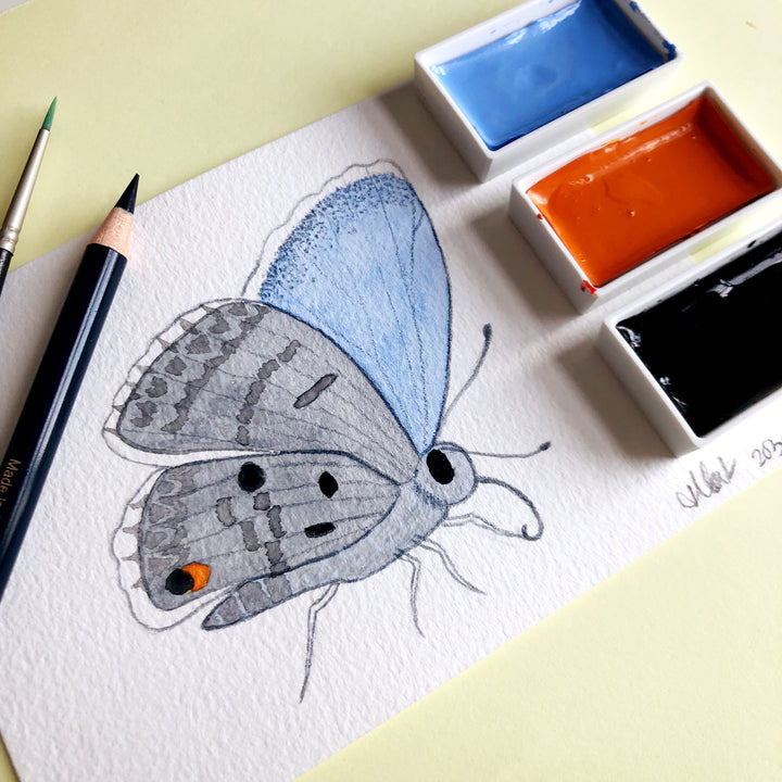 Love Butterfly Challenge : Miami Blue