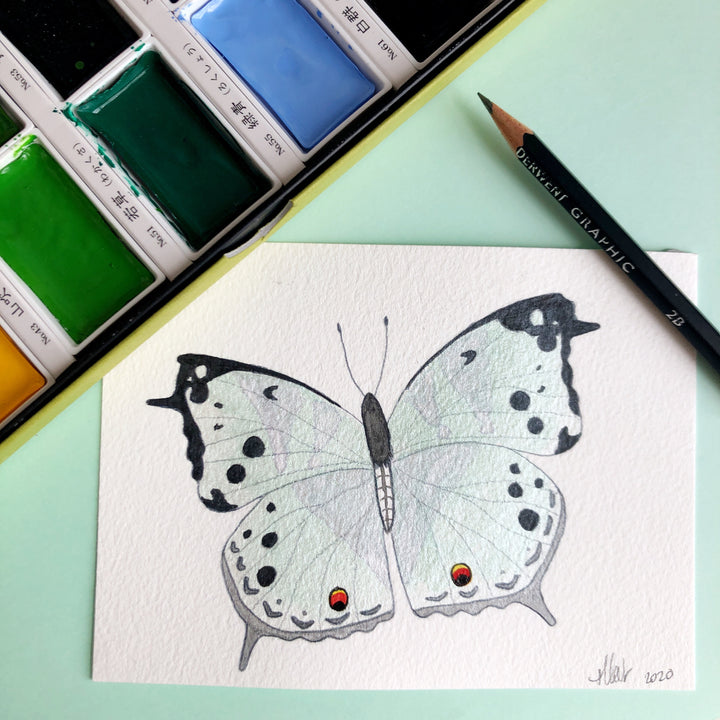 Love Butterfly Challenge: Common Mother Of Pearl