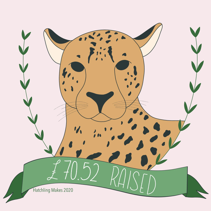 Cheetah Conservation Fund GRAND TOTAL