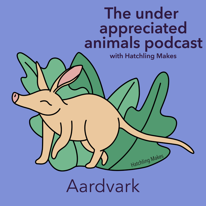 Episode 001 - Aardvark