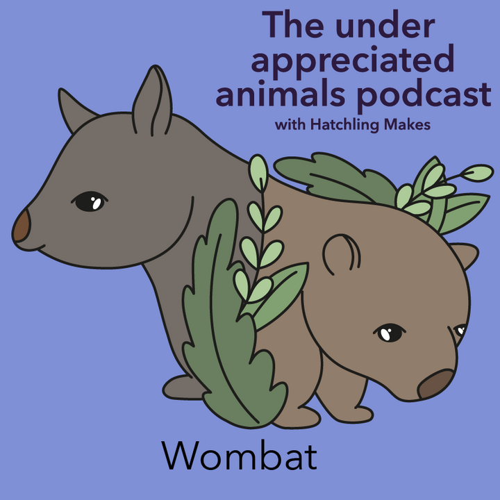 Episode 002 - Wombat