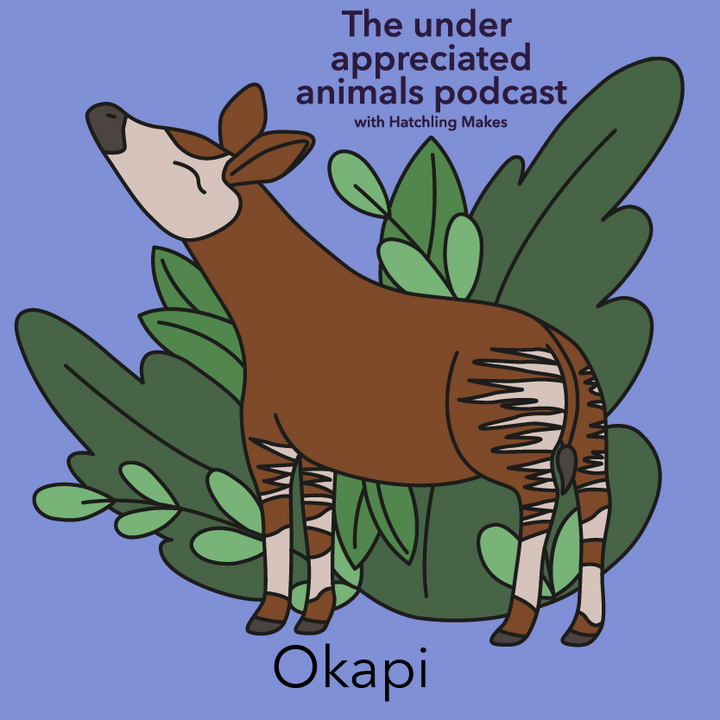 Episode 004 - Okapi
