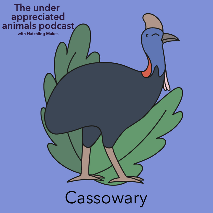 Episode 005 - Cassowary