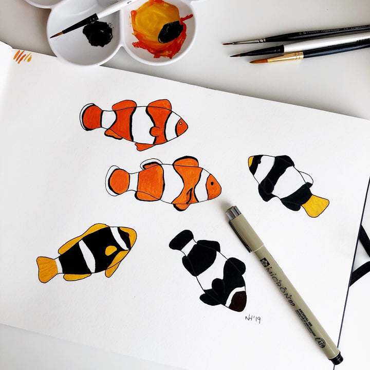 Clownfish facts