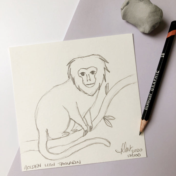 100 Day Project: Golden Lion Tamarin