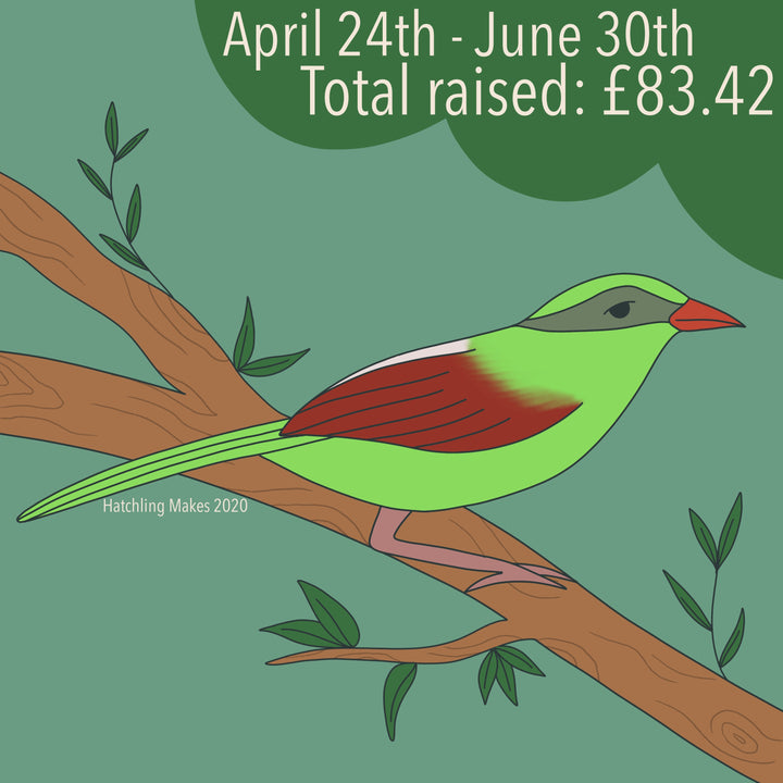 Fundraising Total : Rainforest Trust UK
