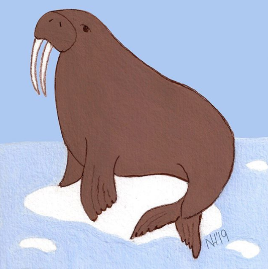 Gouache walrus