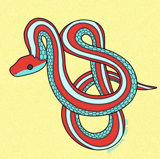 San Francisco Garter Snake