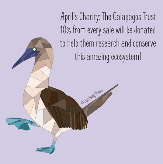 April's Charity : The Galapagos Conservation Trust
