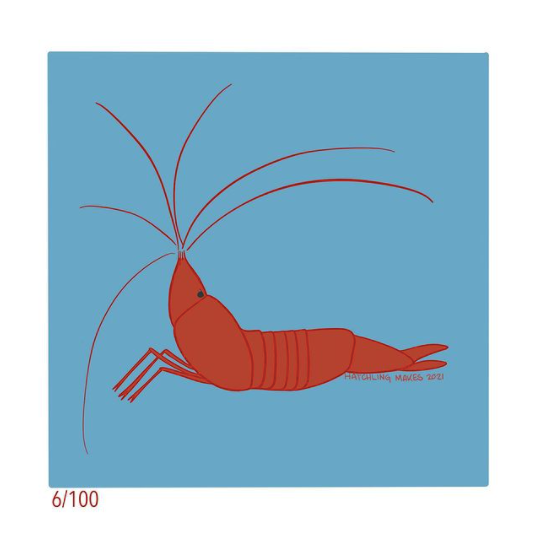 100 Day Project Day 6 (Red Cave Shrimp)