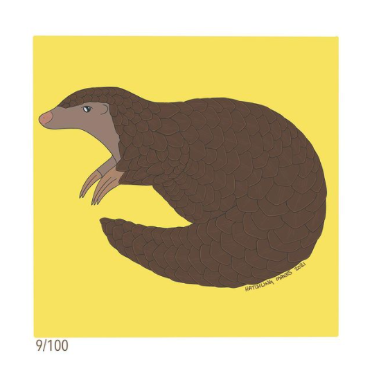 100 Day Project Day 9 (Chinese Pangolin)