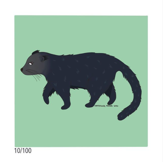 100 Day Project Day 10 (Binturong)