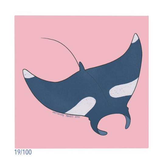 100 Day Project Day 19 (Giant Manta Ray)