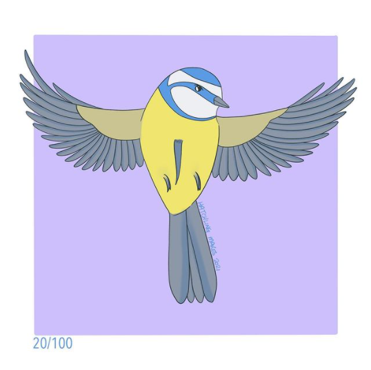 100 Day Project Day 20 : Blue Tit