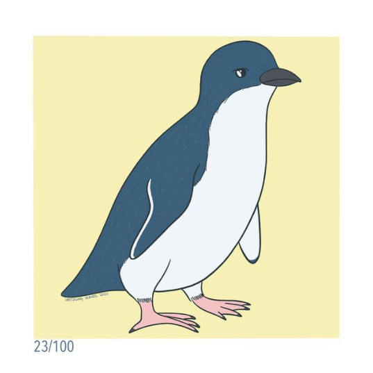 100 Day Project Day 23 : Fairy Penguin