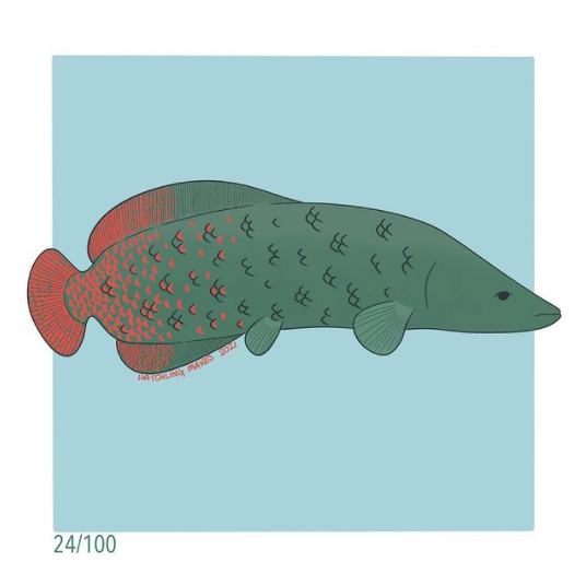 100 Day Project Day 24 : Arapaima