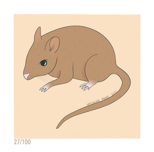 100 Day Project Day 27: Central Rock Rat