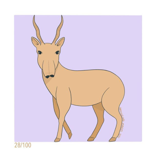 100 Day Project Day 28 : Saiga