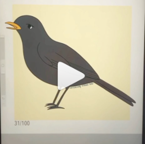 Blackbird Process Video