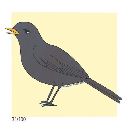 100 Day Project Day 31 : Blackbird