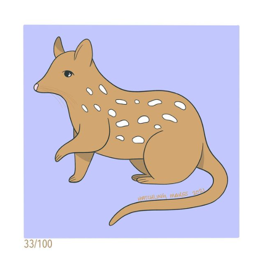 100 Day Project Day 33: Eastern Quoll
