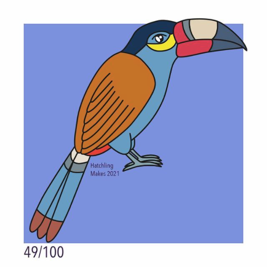 100 Day Project Day 49: Plate-billed mountain toucan