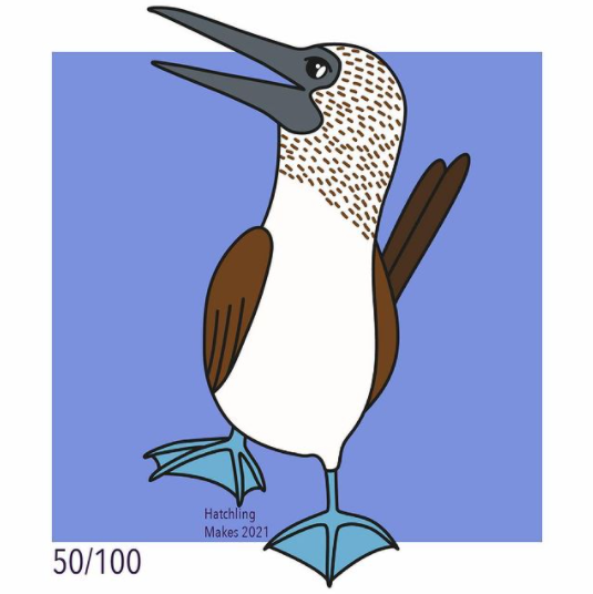 100 Day Project Day 50 : Blue footed booby