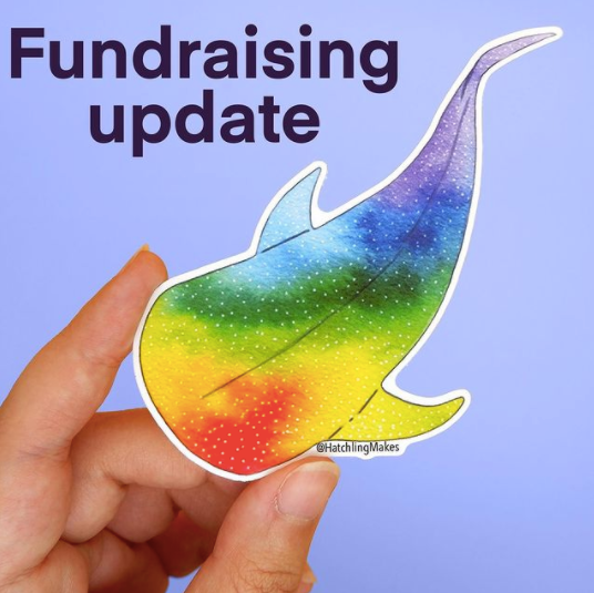 Fundraising Update : Marine Conservation Society – Hatchling Makes