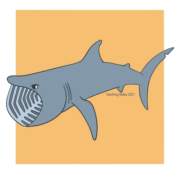 Draw With Tash : Basking Shark