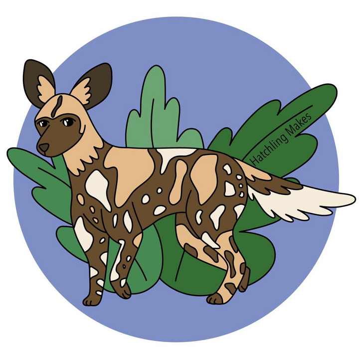 Learn about: African painted dogs!
