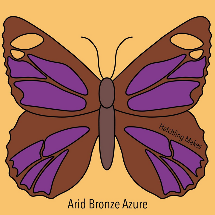 Learn about arid bronze azure butterflies with me!