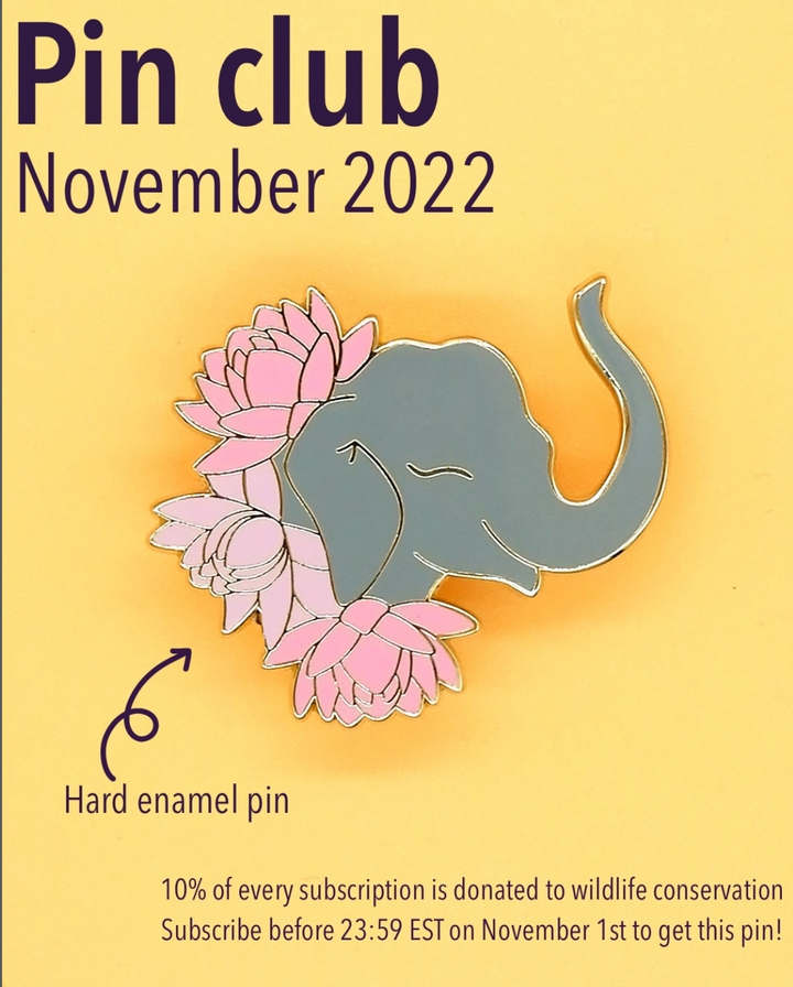November 2022 pin reveal