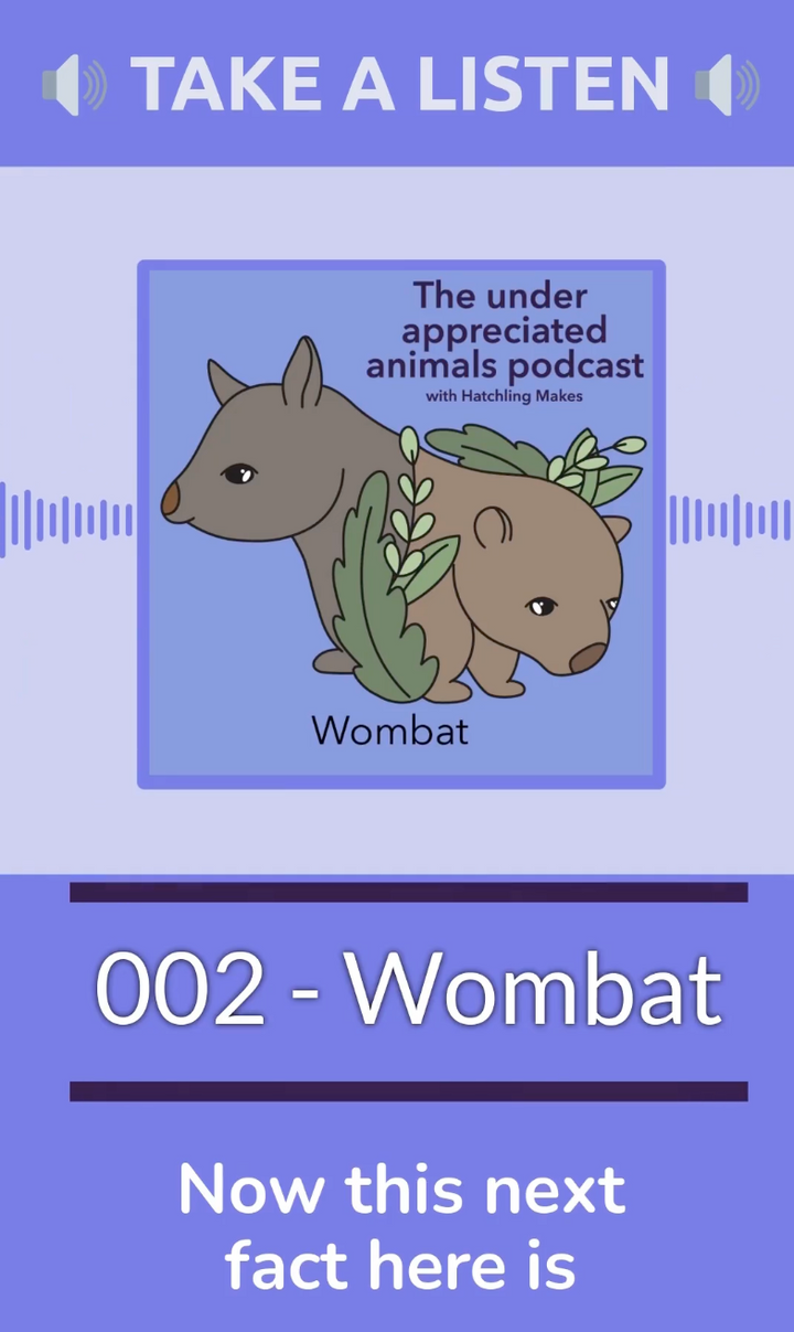 Wombat facts