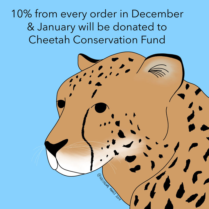 December Charity : Cheetah Conservation Fund