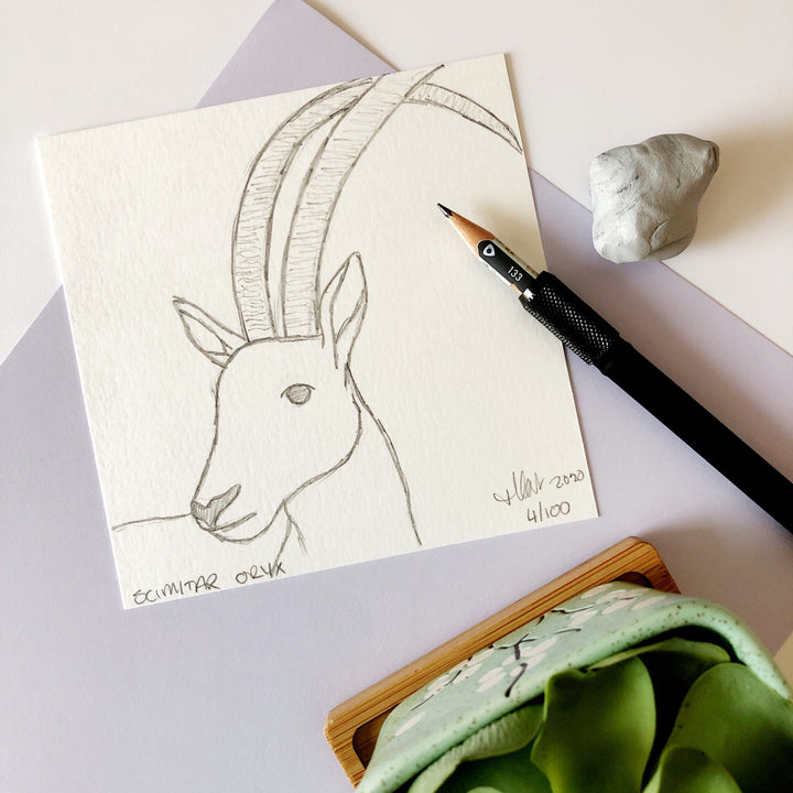 100 Day Project: Scimitar-horned oryx