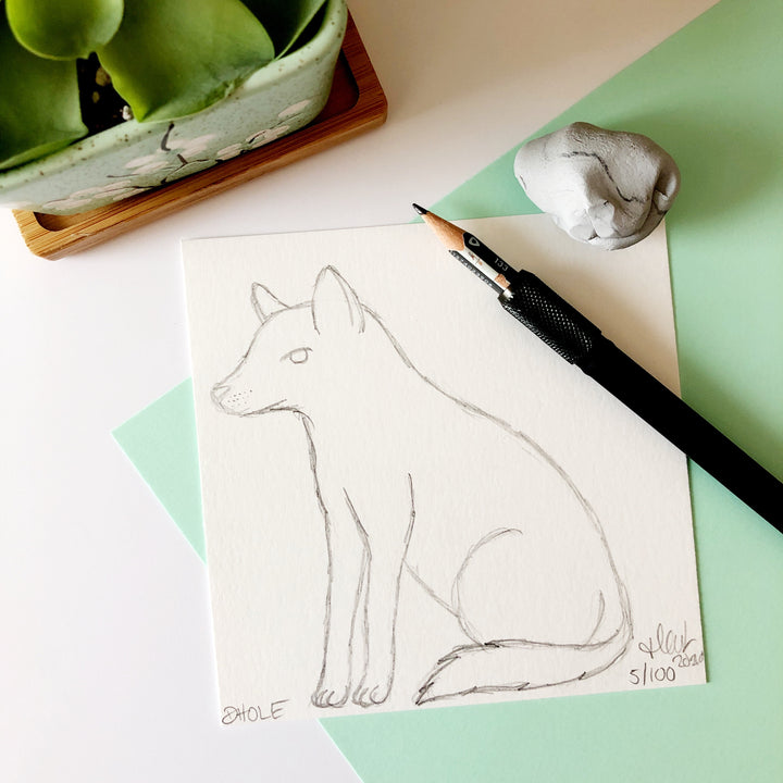 100 Day Project: Dhole