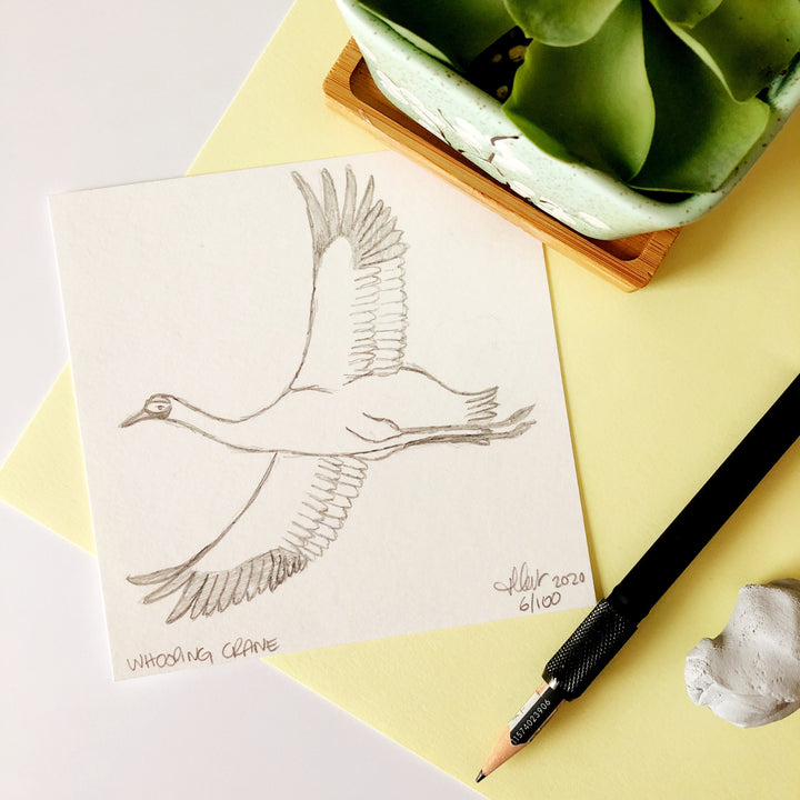100 Day Project: Whooping Crane