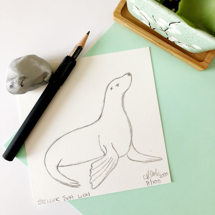 100 Day Project: Steller Sea Lion