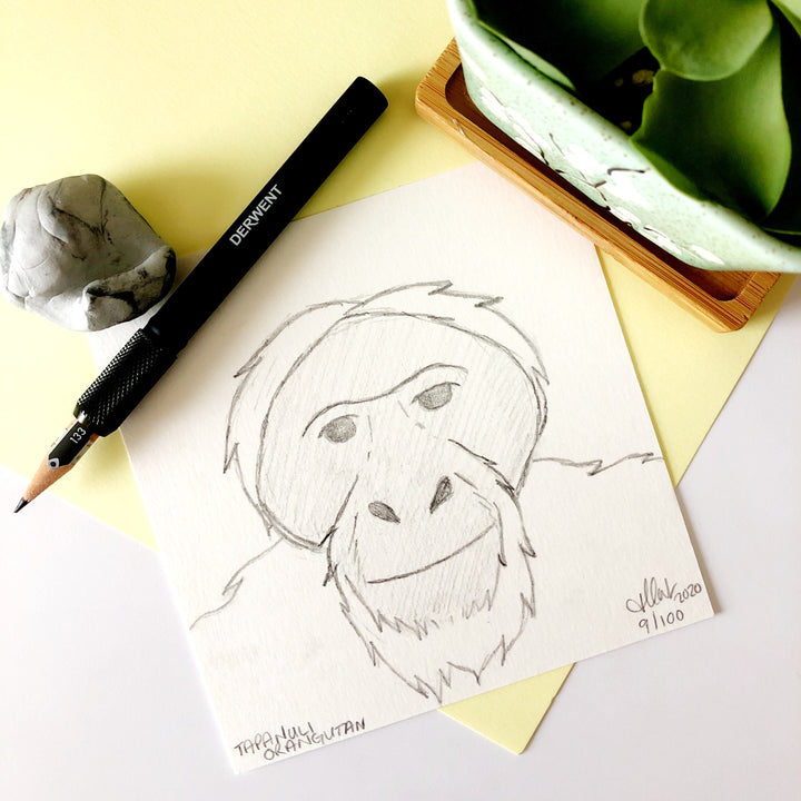 100 Day Project: Tapanuli Orangutan